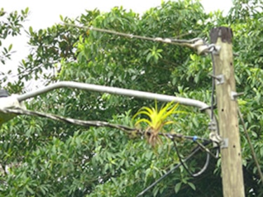 Asep detecta anomalías en la red eléctrica del país