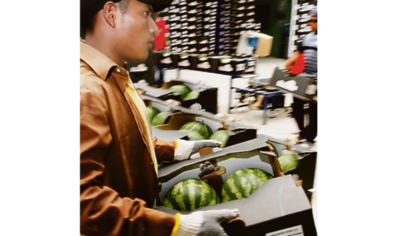 Incentivos para aumentar la producción de frutales