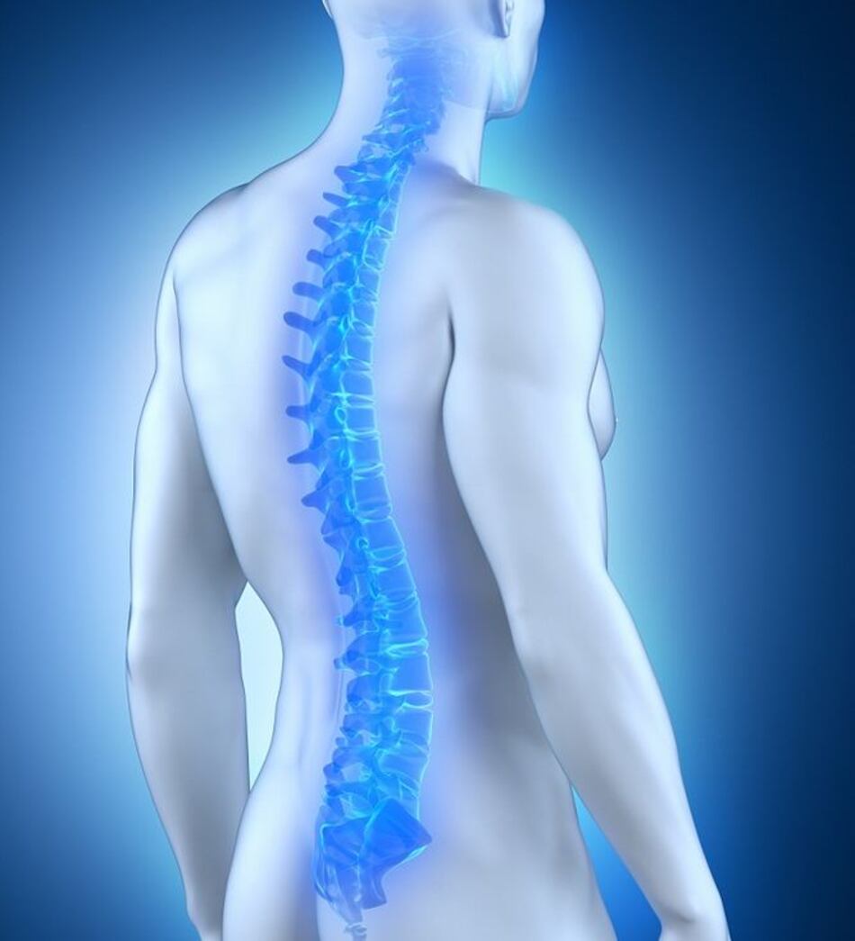 Genes influyen en riesgo de espondilitis anquilosante