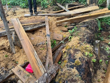 Guardaparques descubren intervención ilegal en el Parque Nacional Volcán Barú