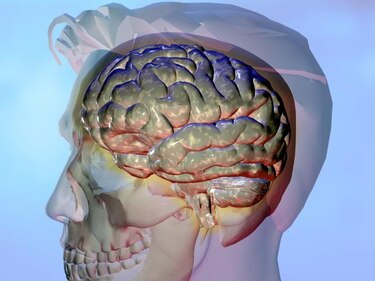 Una mutación genética previene contra la aparición del alzheimer