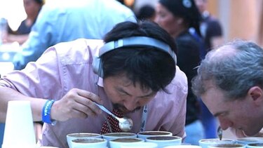 En Taiwán pagan $803 por una libra de geisha panameño