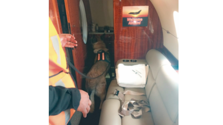 Guatemala ordena el embargo del avión de los Martinelli Linares