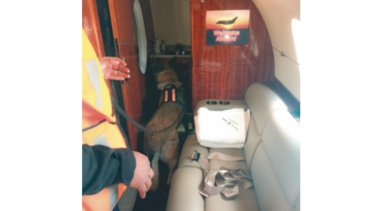 Secuestran avión de Ricardo Martinelli en Guatemala 