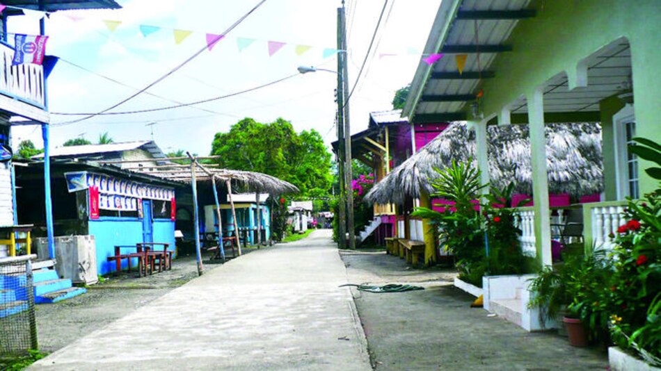 Rivalidad política y falta de apoyo dieron al traste con Carnaval