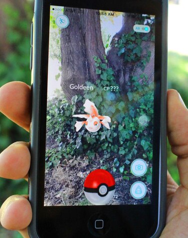 Policía: Pokemon no es razón para entrar en propiedad ajena