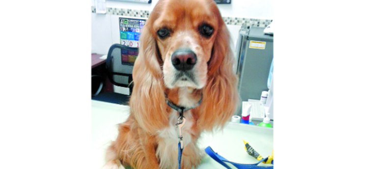 Orión, el futbolista