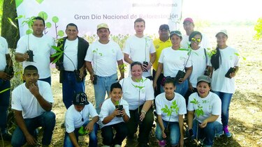 Nestlé contribuyó con reforestación en Natá