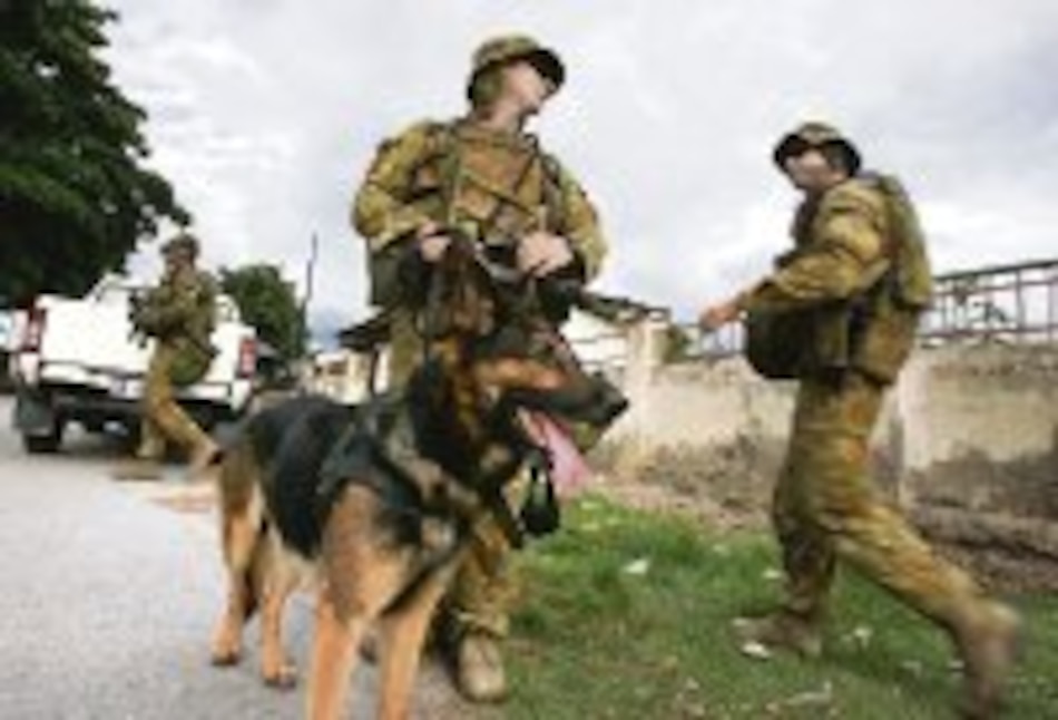 Los perros de la guerra