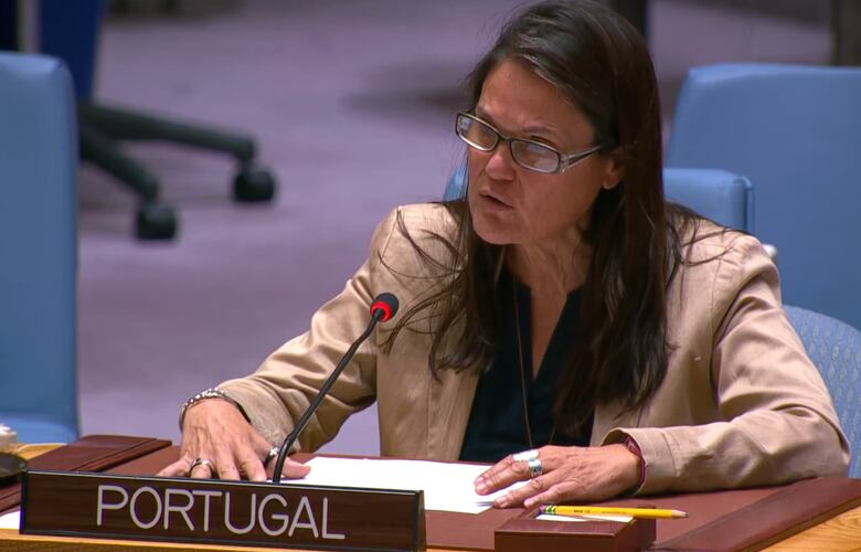 En vivo: Continúa el debate sobre la seguridad marítima, liderado por Panamá en el Consejo de Seguridad de la ONU