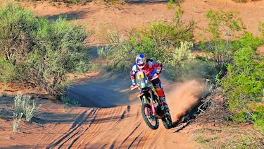 Price gana la etapa y Walkner acaricia el Dakar