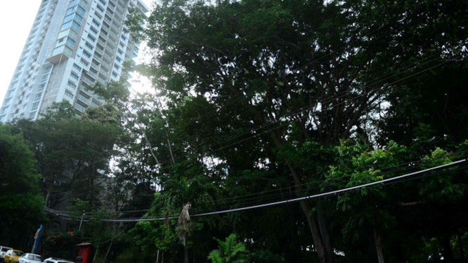 Parque de Hato Pintado, en disputa
