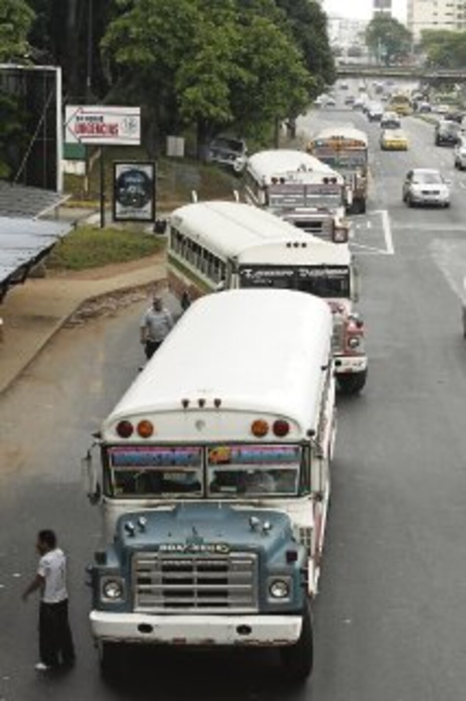 Metro Bus tendría 81 rutas principales