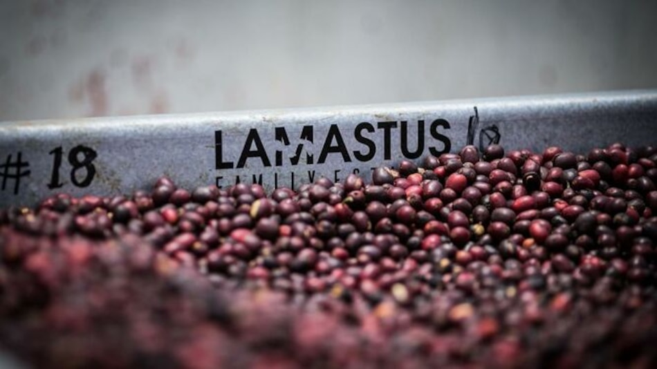 El café Geisha de Elida Estate toca la cima con otro puntaje histórico