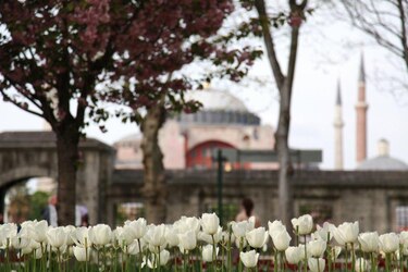 Cinco consejos para conocer Estambul, Turquía