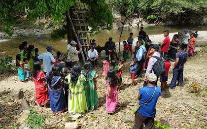 Invertirán $18.1 millones en la construcción de 50 zarzos en la comarca Ngäbe-Buglé