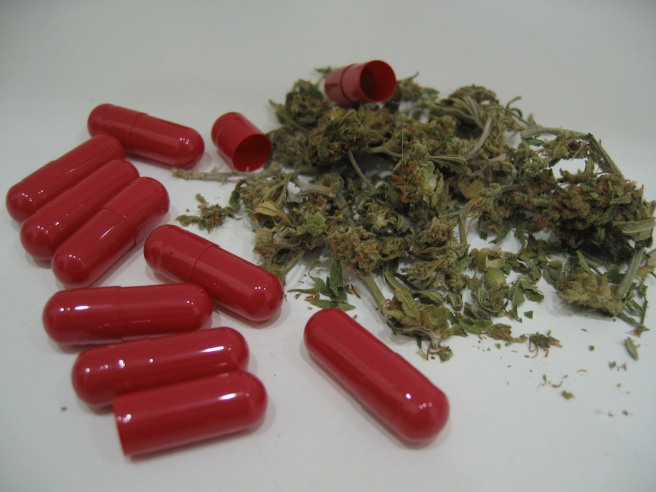 Farmacia y Drogas anuncia proceso para la obtención de la licencia de fabricación de derivados del cannabis medicinal