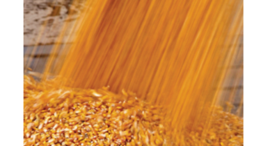 Baisa subastará remanente de cuota de tratado con EU