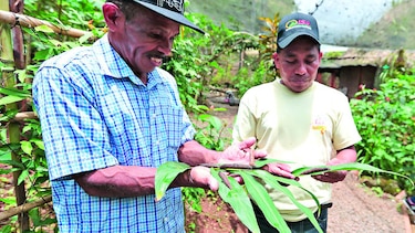 Alas de esperanza para Coclé
