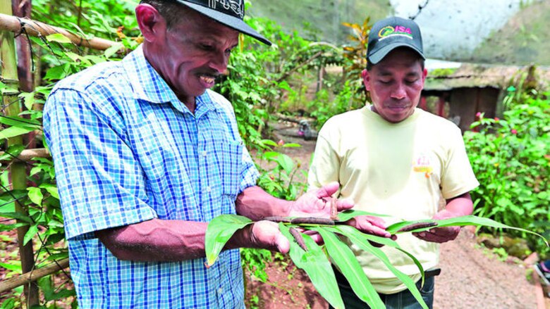 Alas de esperanza para Coclé