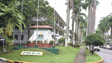 Crearán oficina para tramitar importaciones