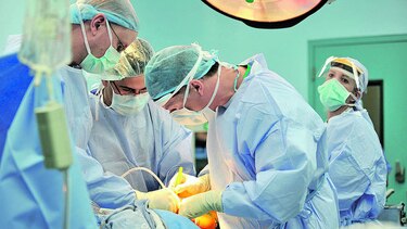 Ejecutivo costeará primeras intervenciones quirúrgicas