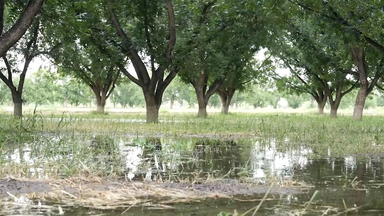 La creciente disputa entre México y Estados Unidos por la escasez de agua