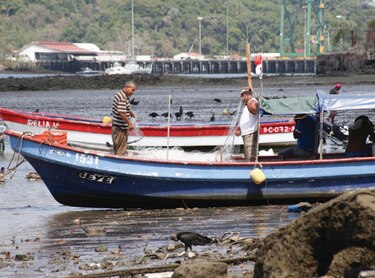 Eliminan licencias de pesca para ayudar al camarón 