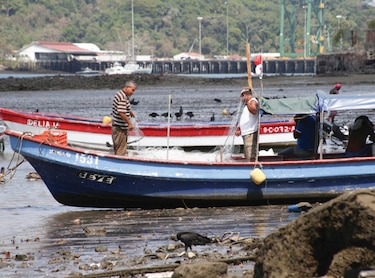 Oenegés solicitan a Cortizo veto parcial a la ley de pesca