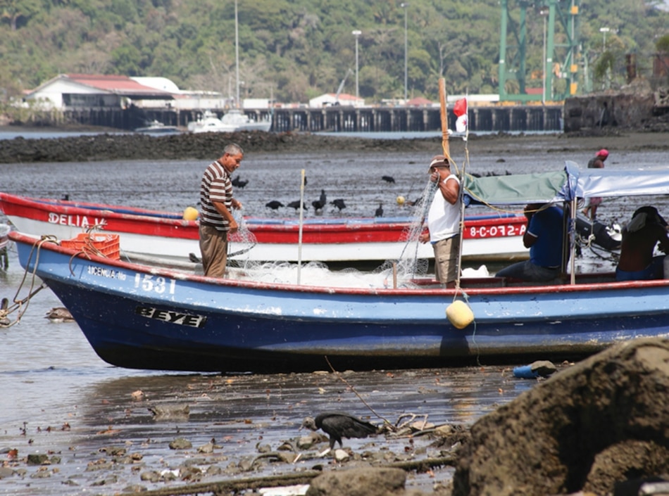 Oenegés solicitan a Cortizo veto parcial a la ley de pesca