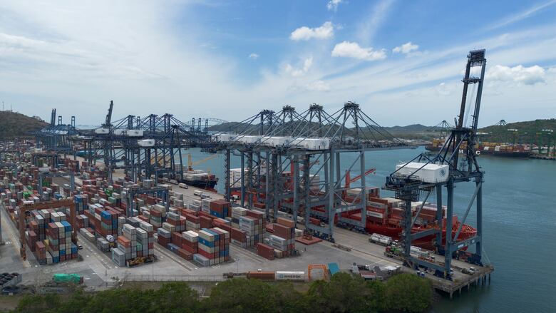 COEL exige transparencia y condiciones favorables en venta de puertos panameños