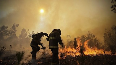 Estado de emergencia en Chile ante los peores incendios de su historia