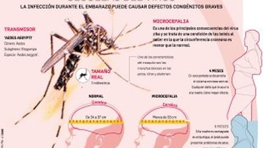 Vacuna contra el zika, a prueba