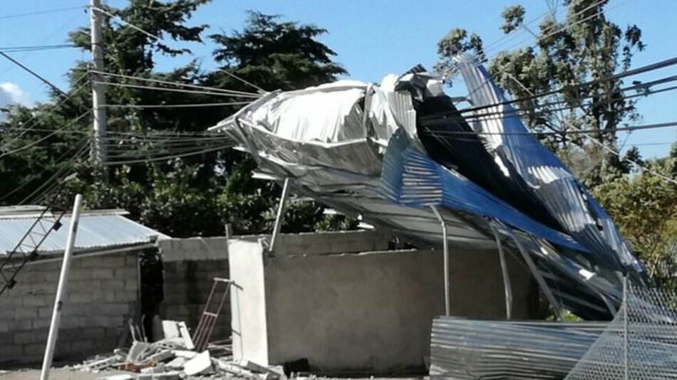 Fuertes vientos en Chiriquí provocan caída de árboles y voladuras de techos