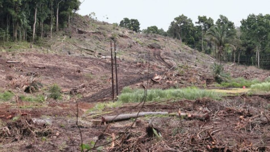 Inspección ambiental a proyecto puente de las Américas-Arraiján