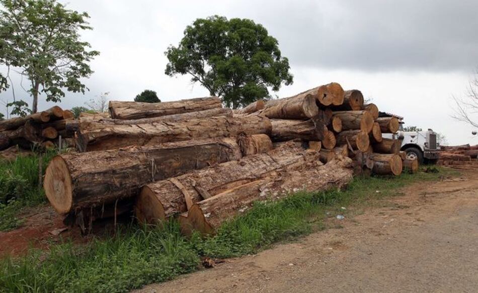 Una nueva verdad incómoda y el despojo de Panamá