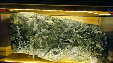 El desafío del Biomuseo ante la convulsión que mantiene a los visitantes alejados