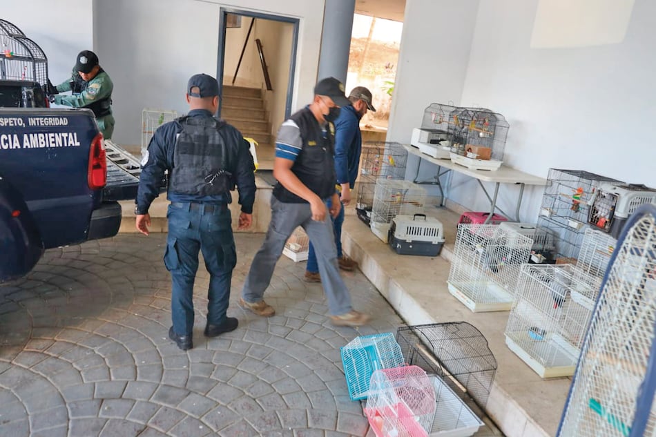 Desmantelan a una secta acusada de explotación laboral