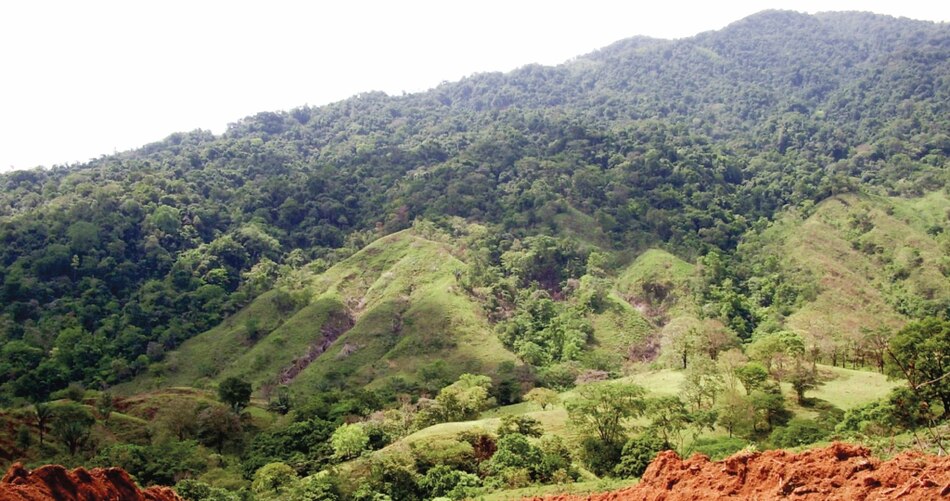 ‘Para los políticos, las áreas protegidas son la caja menuda’