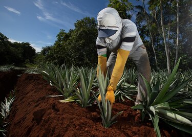 Canal de Panamá y el sistema financiero impulsaron la economía en julio