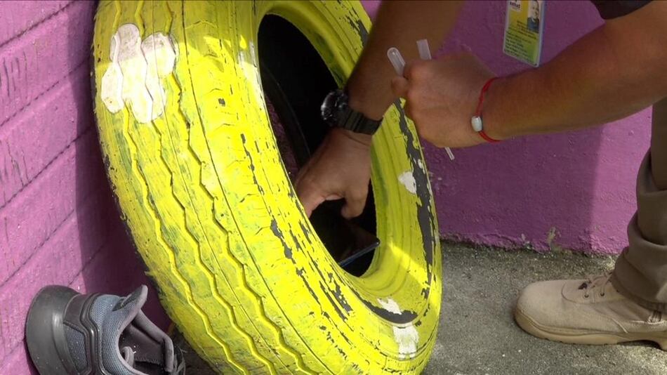 Minsa: 7 mil 668 casos acumulados por dengue en todo el país