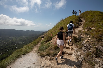 Más acceso, menos tiempo: Estos son los cambios en el seguro gratuito a los turistas