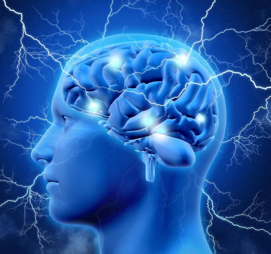 Un espacio para las neurociencias