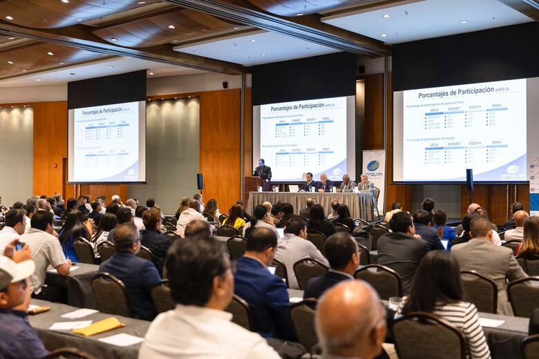 125 empresas interesadas en licitación a largo plazo para suministro de energía renovable