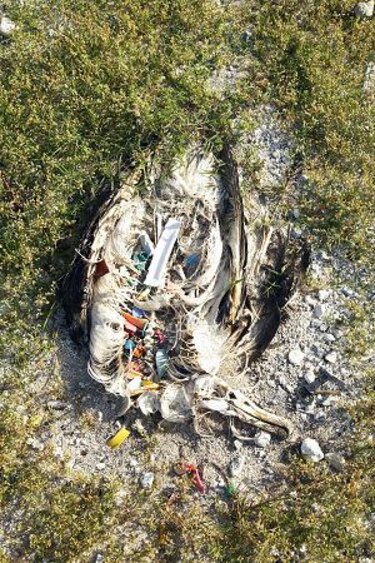 Plástico en los océanos: impacto a largo plazo