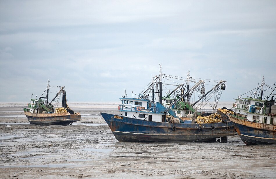Panamá impulsa sostenibilidad de especies marinas