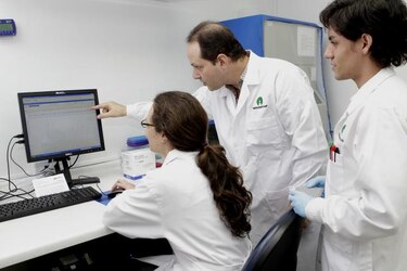Desarrollan en Chile un sistema de medición para enfermedades neurológicas