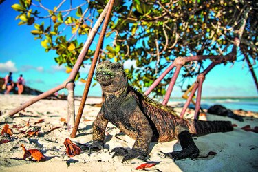 Galápagos será un paraíso limitado