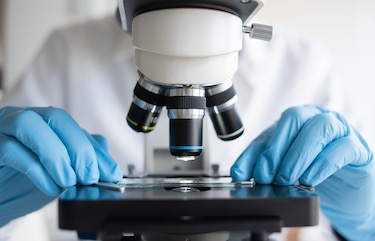 Científicos de la Universidad de Panamá denuncian trabas que frenan los proyectos de investigación
