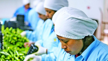 La brecha de género en el mercado laboral es mayor a lo esperado, según el Banco Mundial